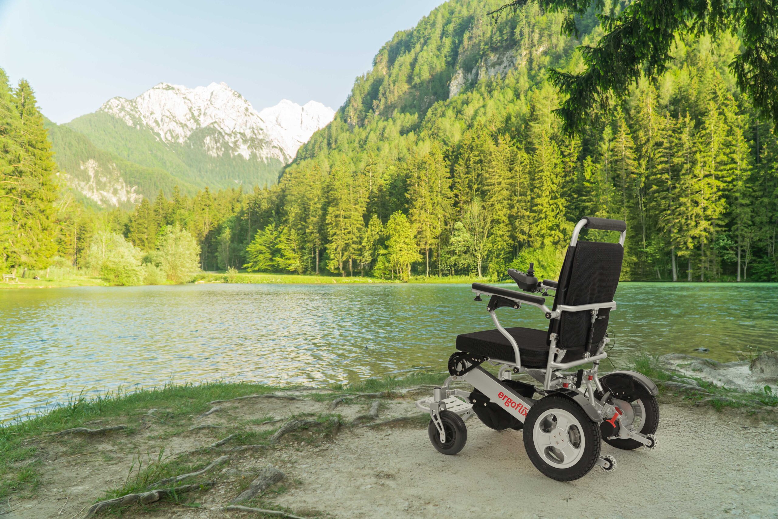 ergoflix-fauteuil-roulant-électrique-compact-L-Back